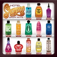 GruffRhys_HotelShampoo Top Albums 2011