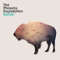 buffalo-phoenix-foundation Top Albums 2011
