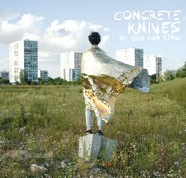 concrete-knives Top albums 2012