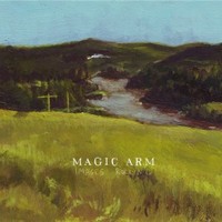magic-arm Top albums 2013