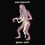 Chad-VanGaalen-Shrink-Dust Les sorties d'albums pop, rock, electro du 28 avril 2014