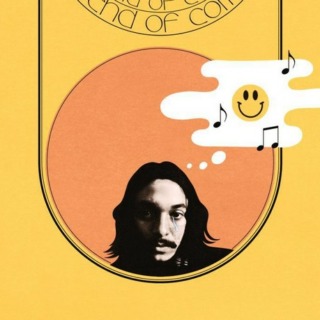 Drugdealer "The End Of Comedy cover album