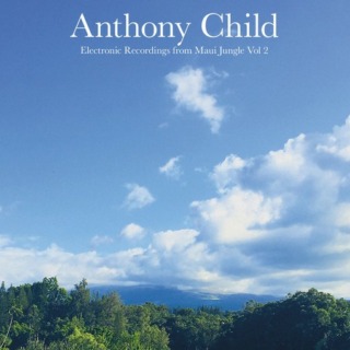 Anthony Child – Electronic Recordings from Maui Jungle Vol. 2